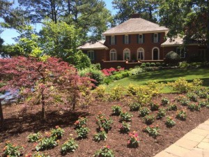 Landscape design results