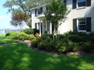 Lawn care maintenance