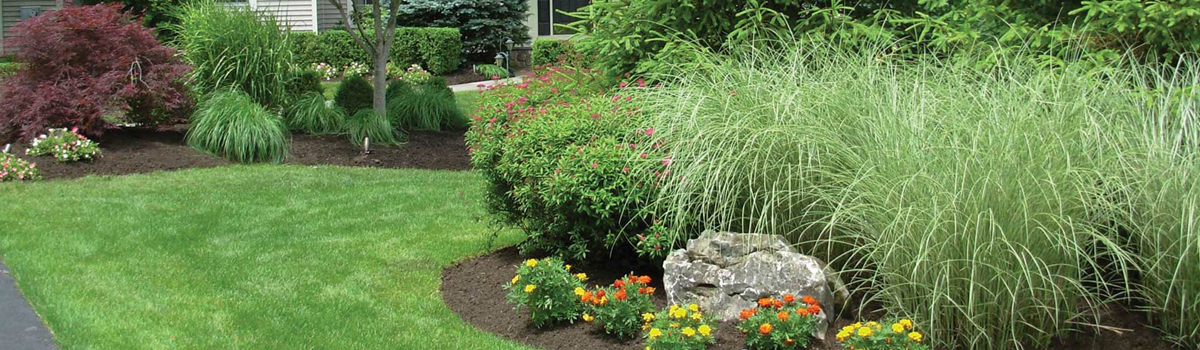 landscape-design-bedding-mulch